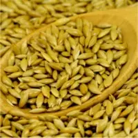 Canary Seeds