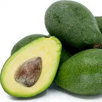 Avocado