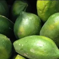 Papaya