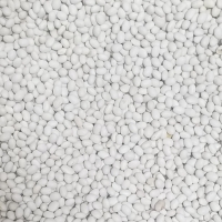Soybean