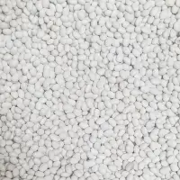 Soybean