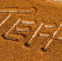 Teff