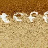 White Teff