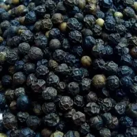 Black Pepper
