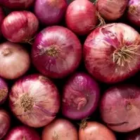 Onion