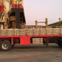 Cement