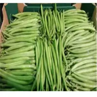 Egyptian Fresh Green Beans