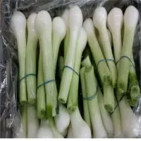 Spring Onions
