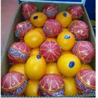 Egyptian Mandarins