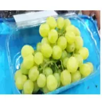 Egyptian Fresh Grapes