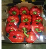 Egyptian Capsicum Peppers