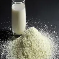 Premium Milk Powder