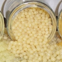 Packaging Adhesive