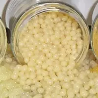 Packaging Adhesive
