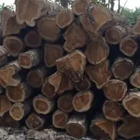 Teak Wood Logs