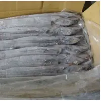 Frozen Ribbon Fish