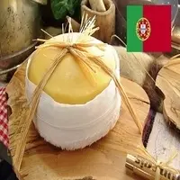 Cow, Sheep And Goat's Milk Cheese