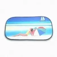 Car sunshade