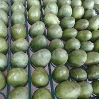 Anwar Ratol Mango