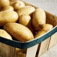 Potato