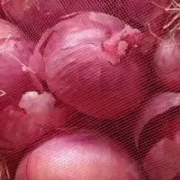 Fresh Onion