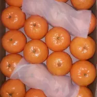 Orange / Kinow / Mandarin