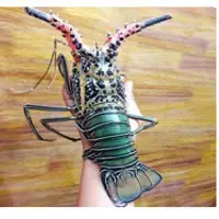 Bamboo Lobster