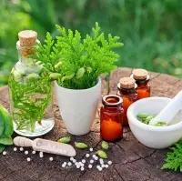 Herbs