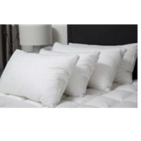 Super Soft Fluffy Pillows