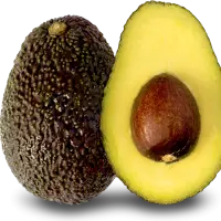 Hass Avocado