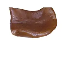GPC Compounded Asafoetida Paste Form