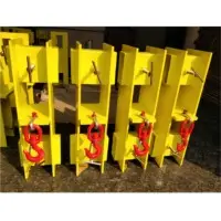 Crane Hoist