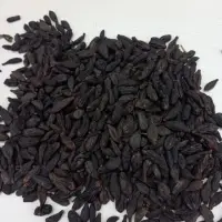 Black Himej / Black Halila / Terminalia Chebula