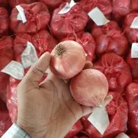 Fresh Onion