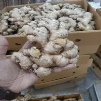 Fresh Ginger