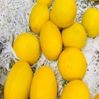 Sweet Melon