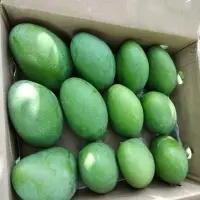 Fresh Mango
