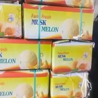 Fresh Muskmelon