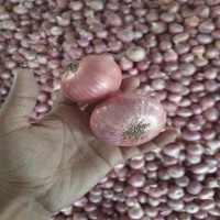 Fresh Red Onion