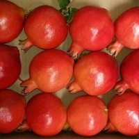 Fresh Pomegranate