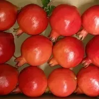 Fresh Pomegranate