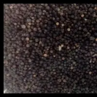 Black Pepper