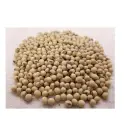 Soybean
