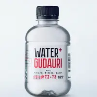 Water Gudauri 250ml