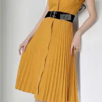 Plaeted Skirts
