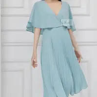 Plaeted Skirts