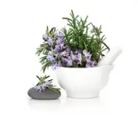 Rosemary Essential Oil