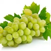 Grapes