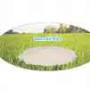 Basmathi Rice