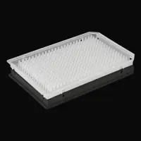 384-well Plate Transparent